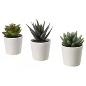 FEJKA Artificial Succulents: Your Effortless Mini Garden No Fuss Decor